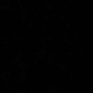 Meet your Posher, Tanasia